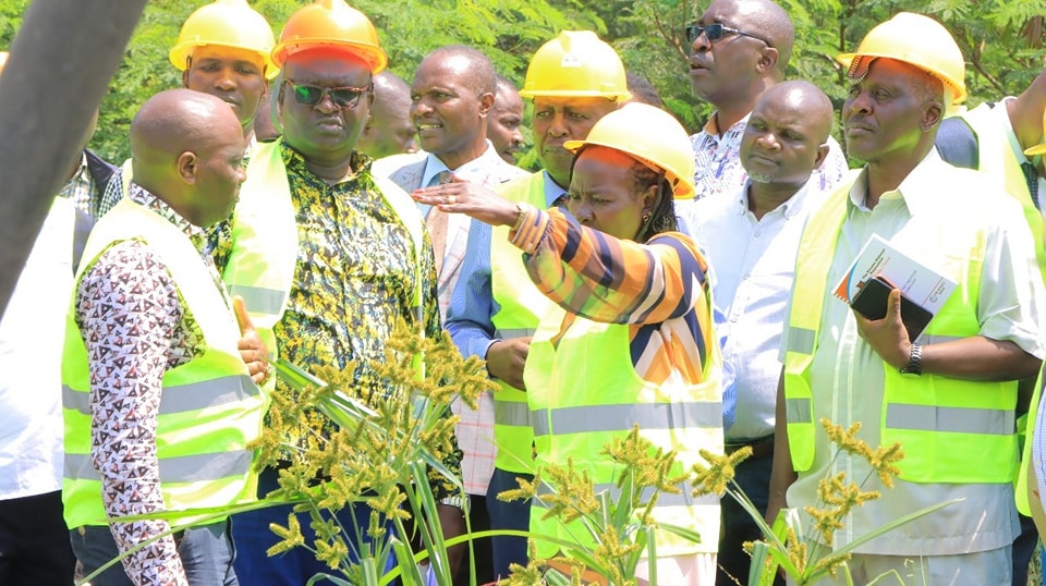 the National Steering Committee