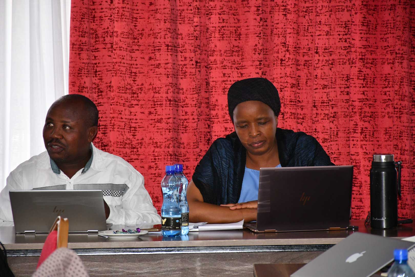 Review of Programme Performance and Preparation of Subsector Reports