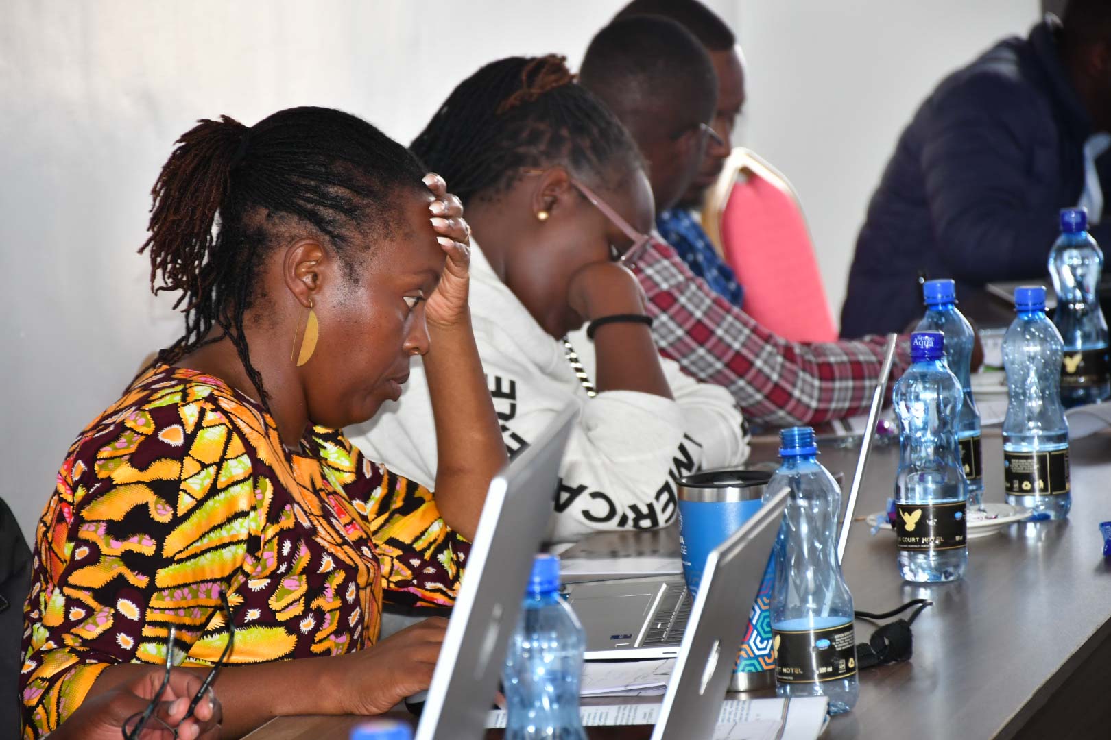 Review of Programme Performance and Preparation of Subsector Reports