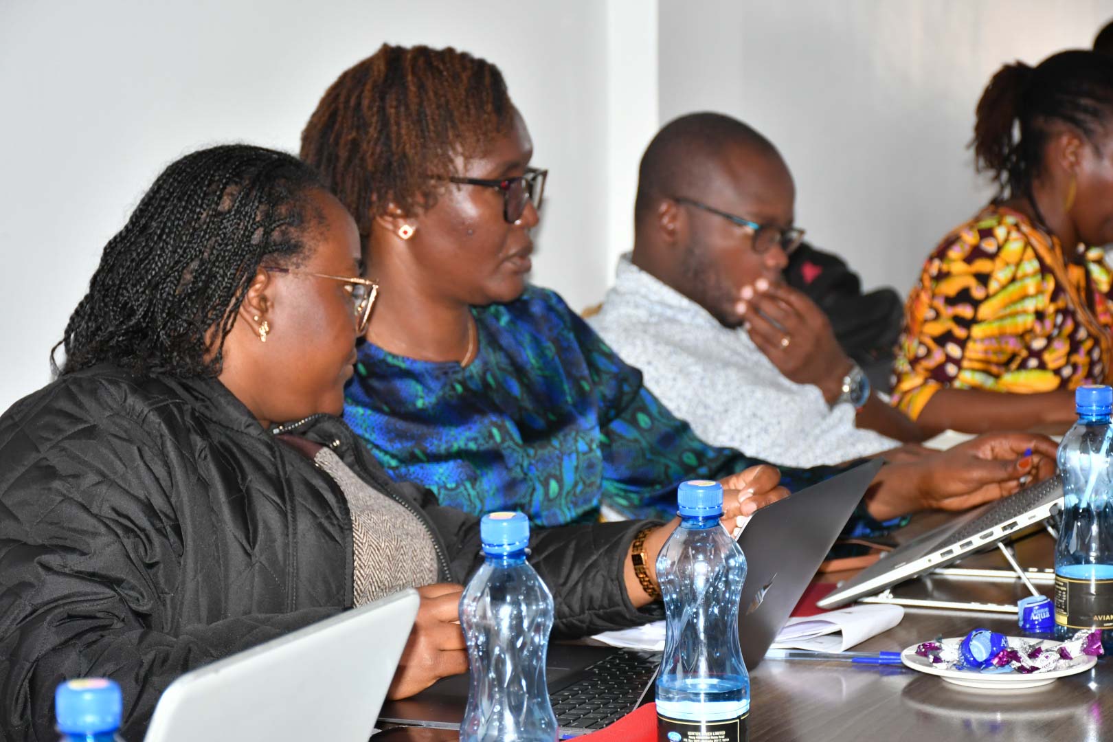 Review of Programme Performance and Preparation of Subsector Reports