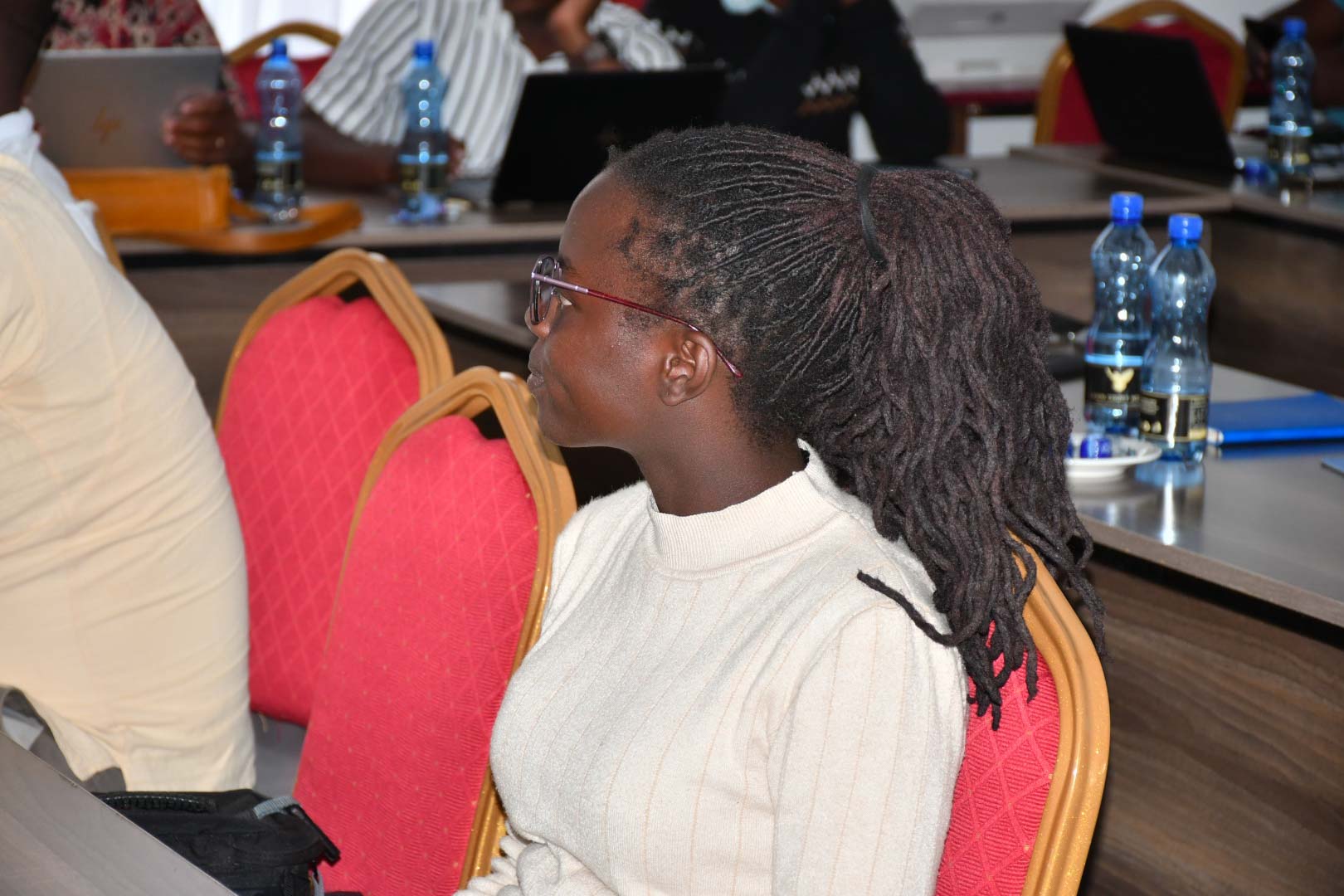 Review of Programme Performance and Preparation of Subsector Reports