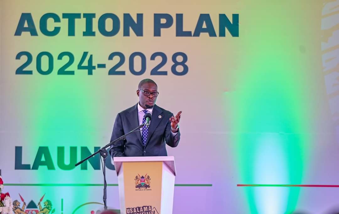 National Road Safety Action Plan (2024-2028) Launched to Curb Road Accidents