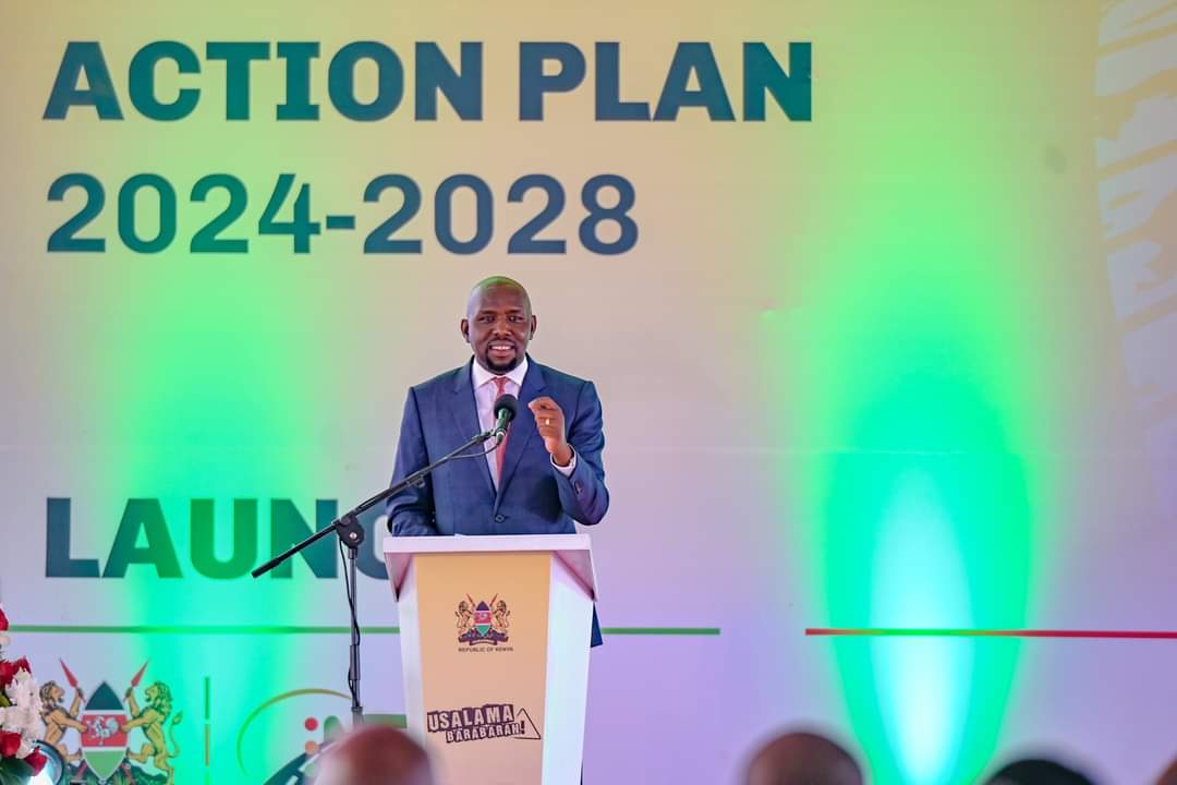 National Road Safety Action Plan (2024-2028) Launched to Curb Road Accidents