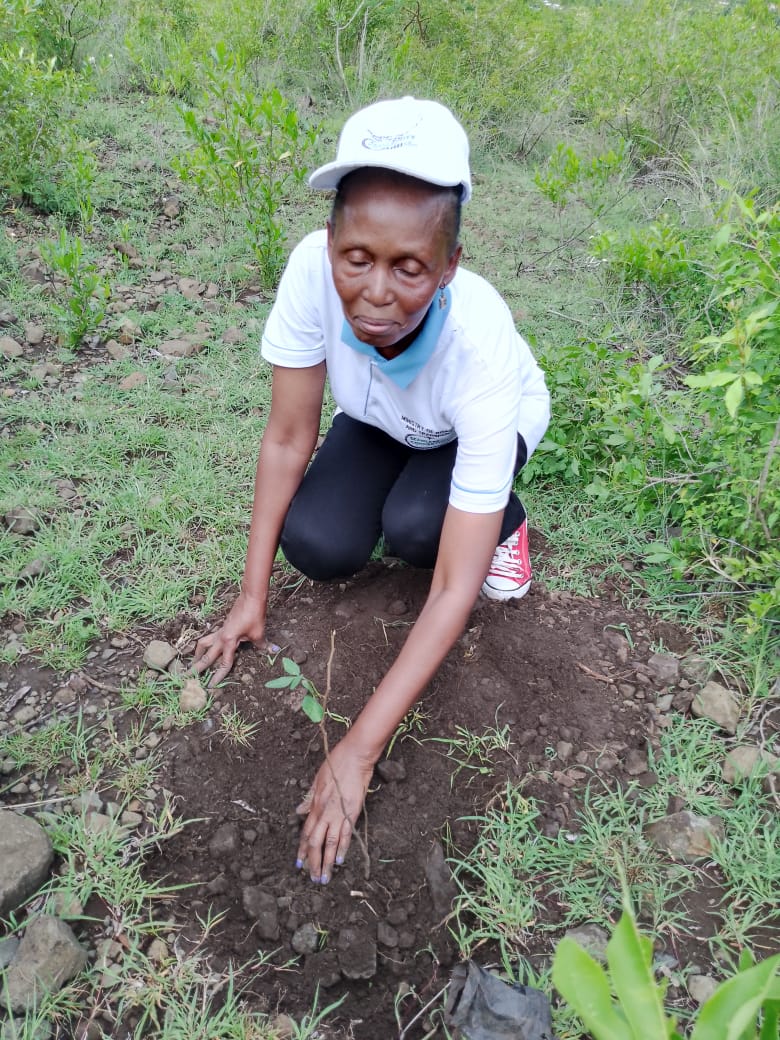 Tree planting day at Gembe-Gera