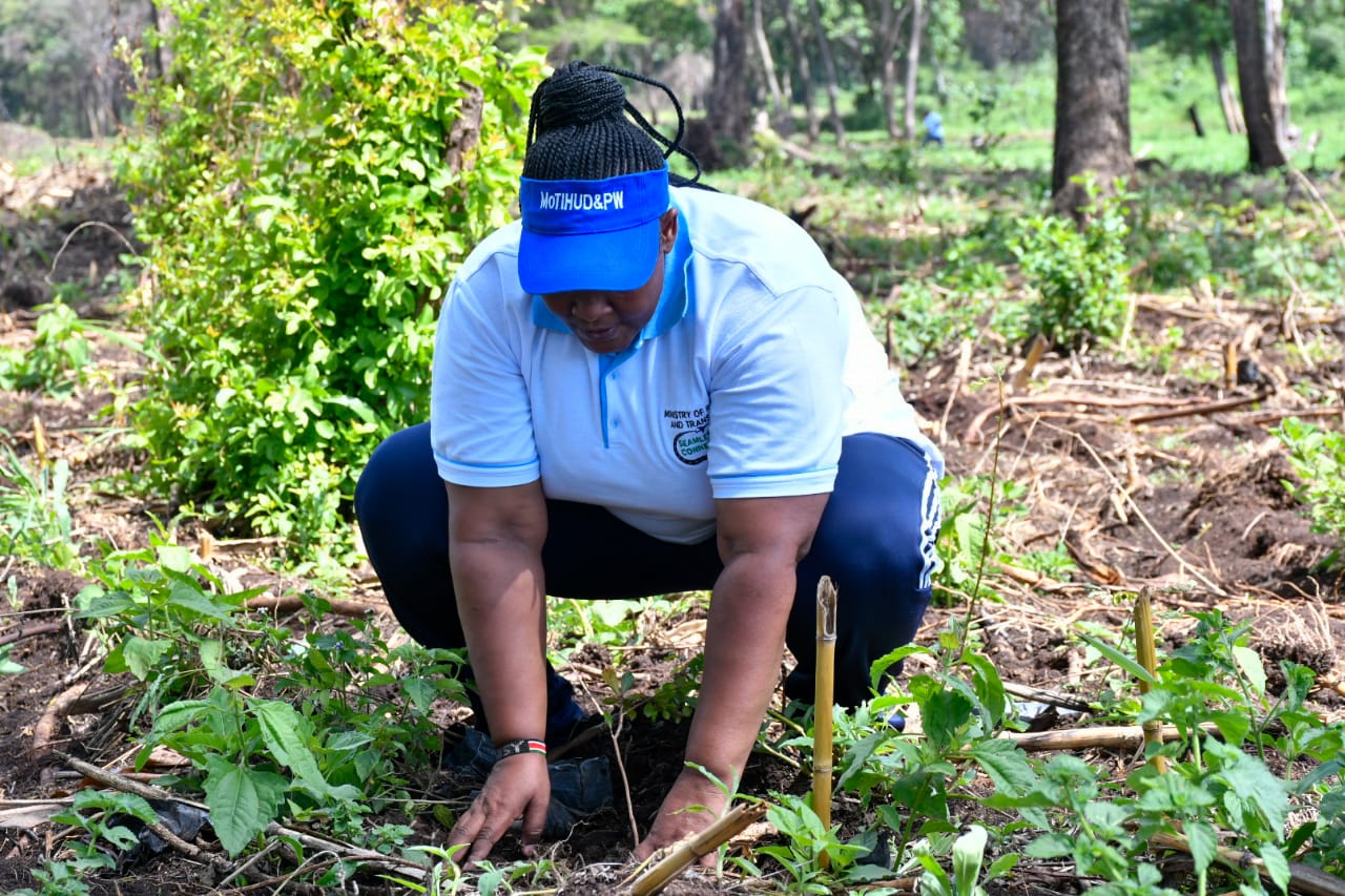 State Department Undertakes Tree Growing Activity in Lambwe Forest, Homabay County