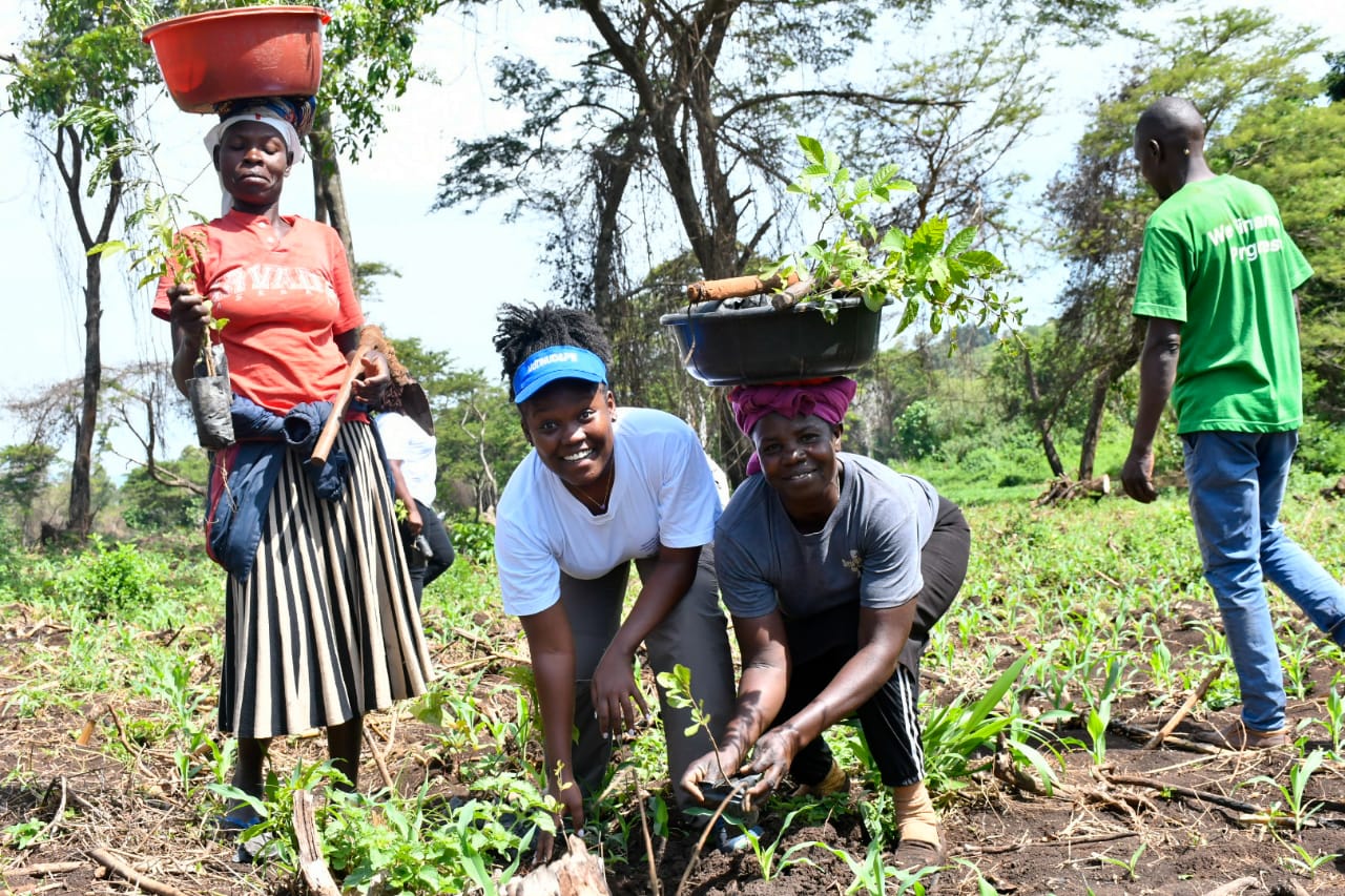 State Department Undertakes Tree Growing Activity in Lambwe Forest, Homabay County