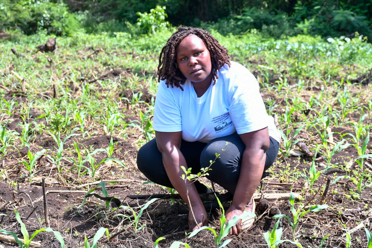 State Department Undertakes Tree Growing Activity in Lambwe Forest, Homabay County