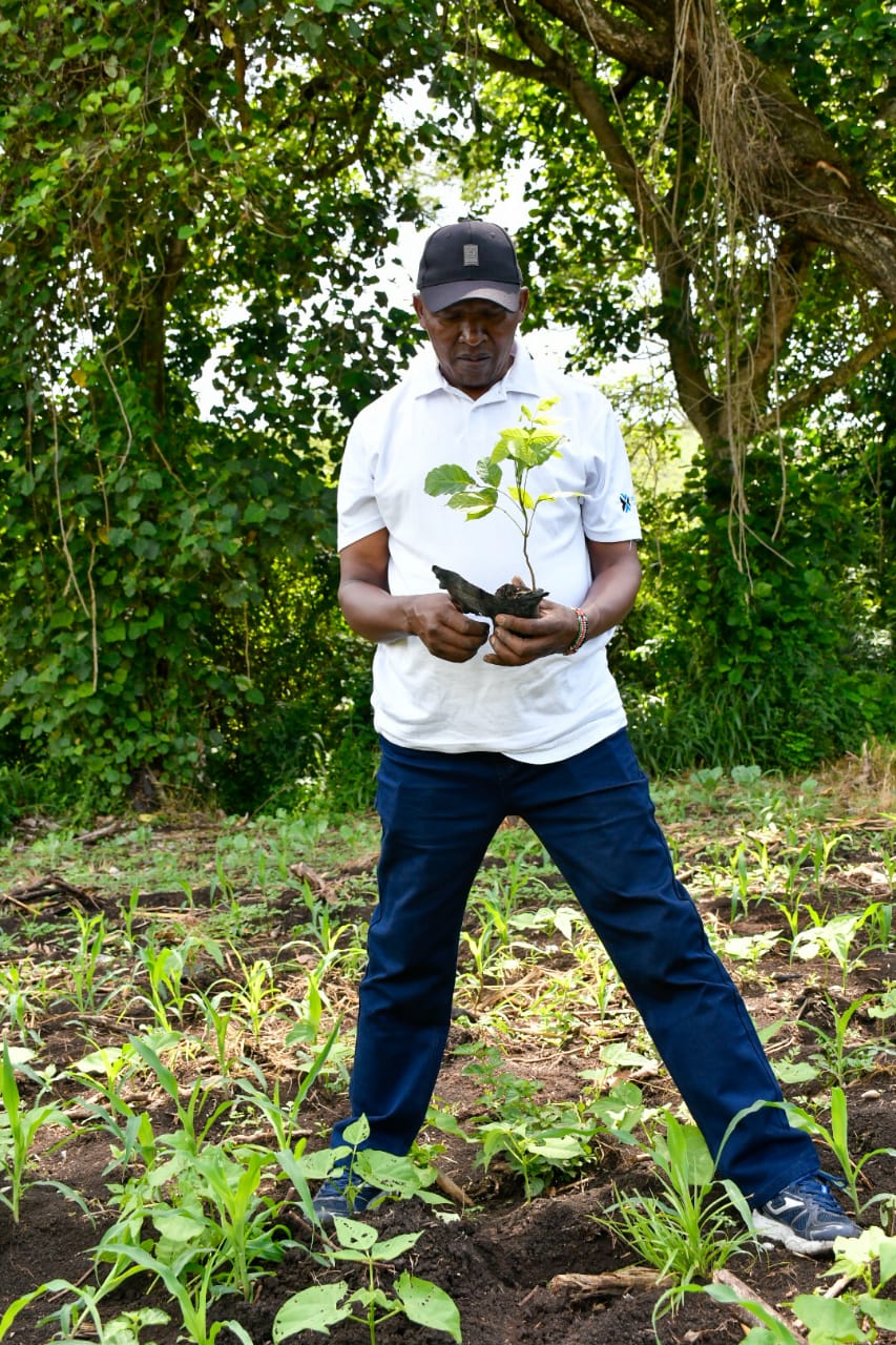 State Department Undertakes Tree Growing Activity in Lambwe Forest, Homabay County