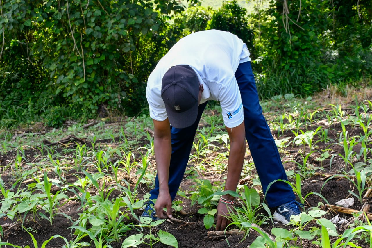 State Department Undertakes Tree Growing Activity in Lambwe Forest, Homabay County