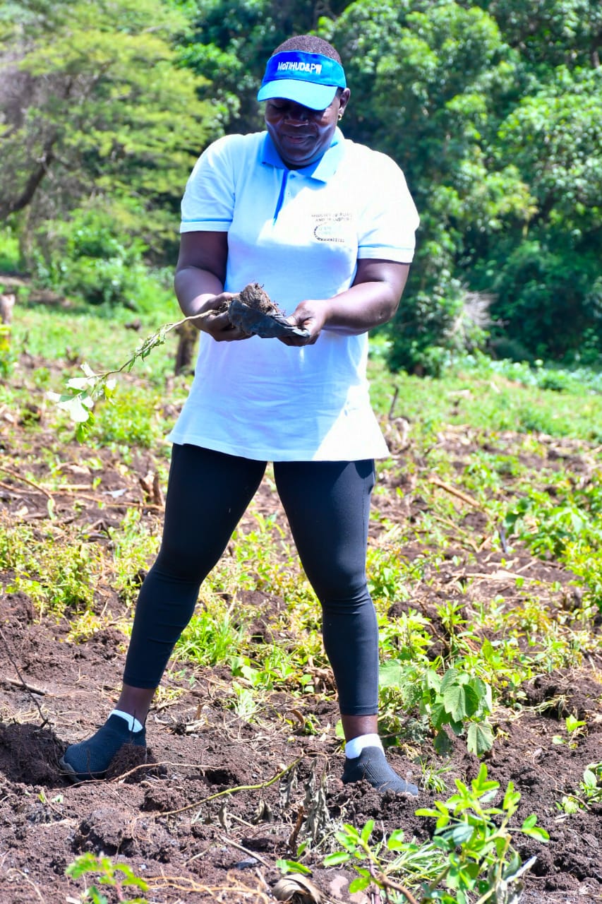 State Department Undertakes Tree Growing Activity in Lambwe Forest, Homabay County