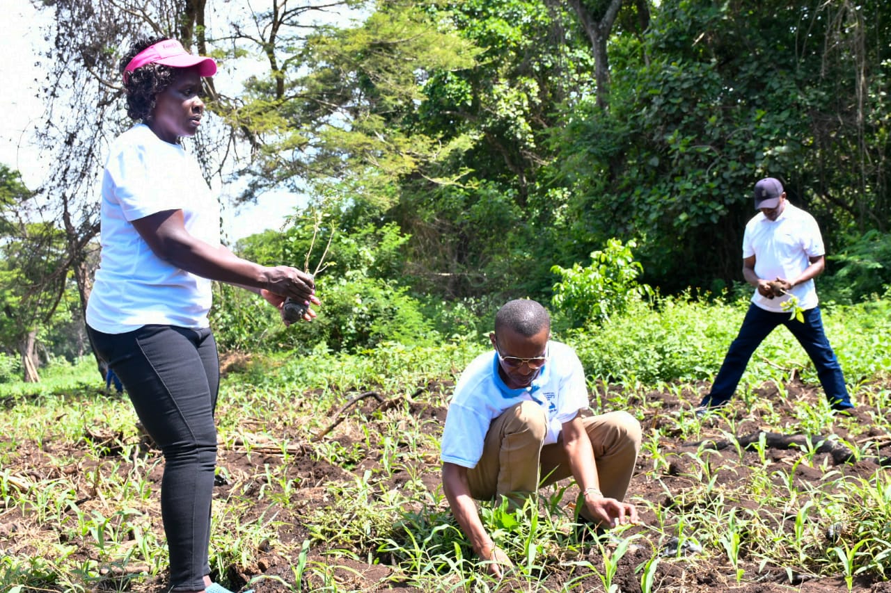 State Department Undertakes Tree Growing Activity in Lambwe Forest, Homabay County