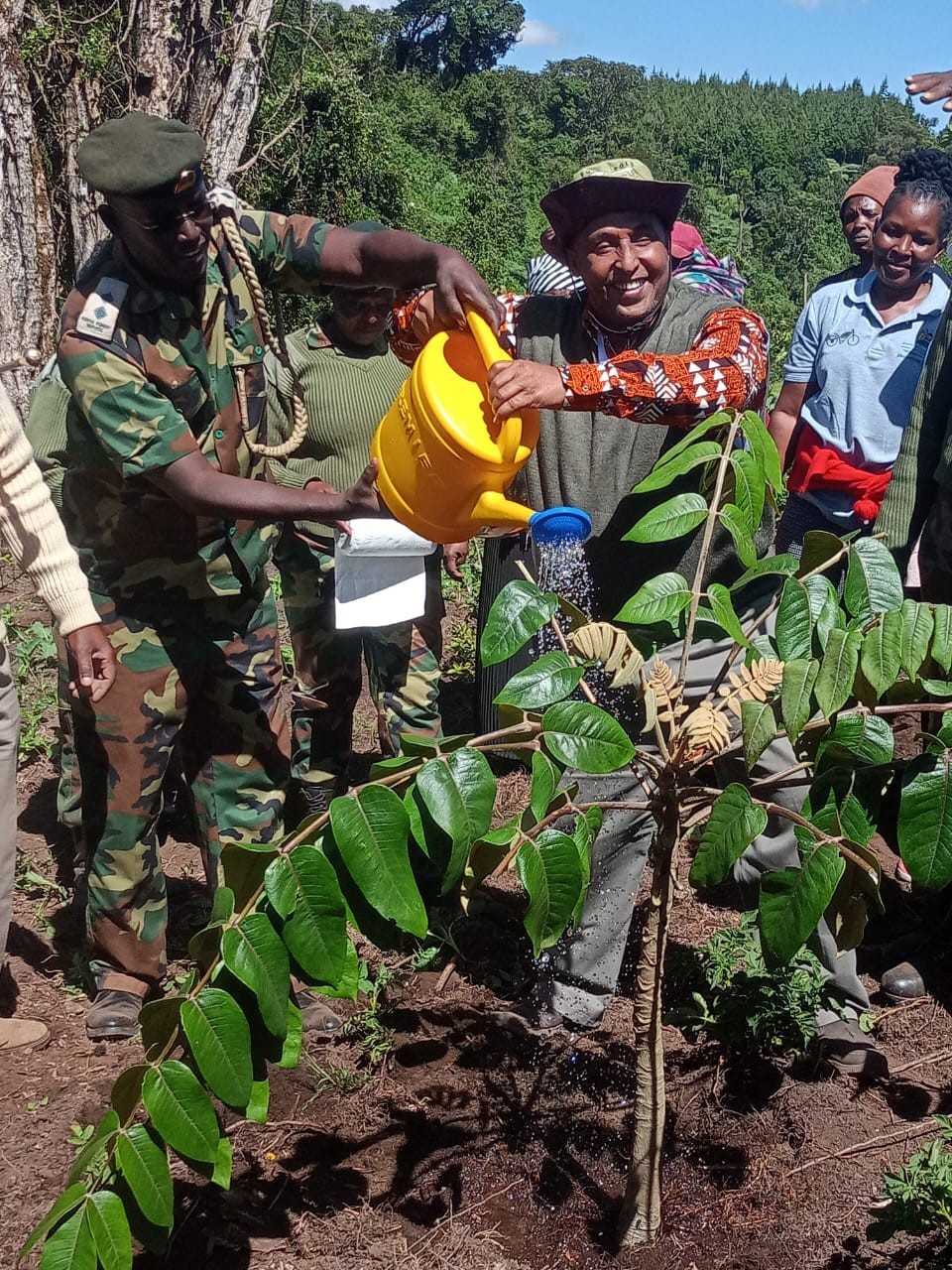 Kinale Tree Planting