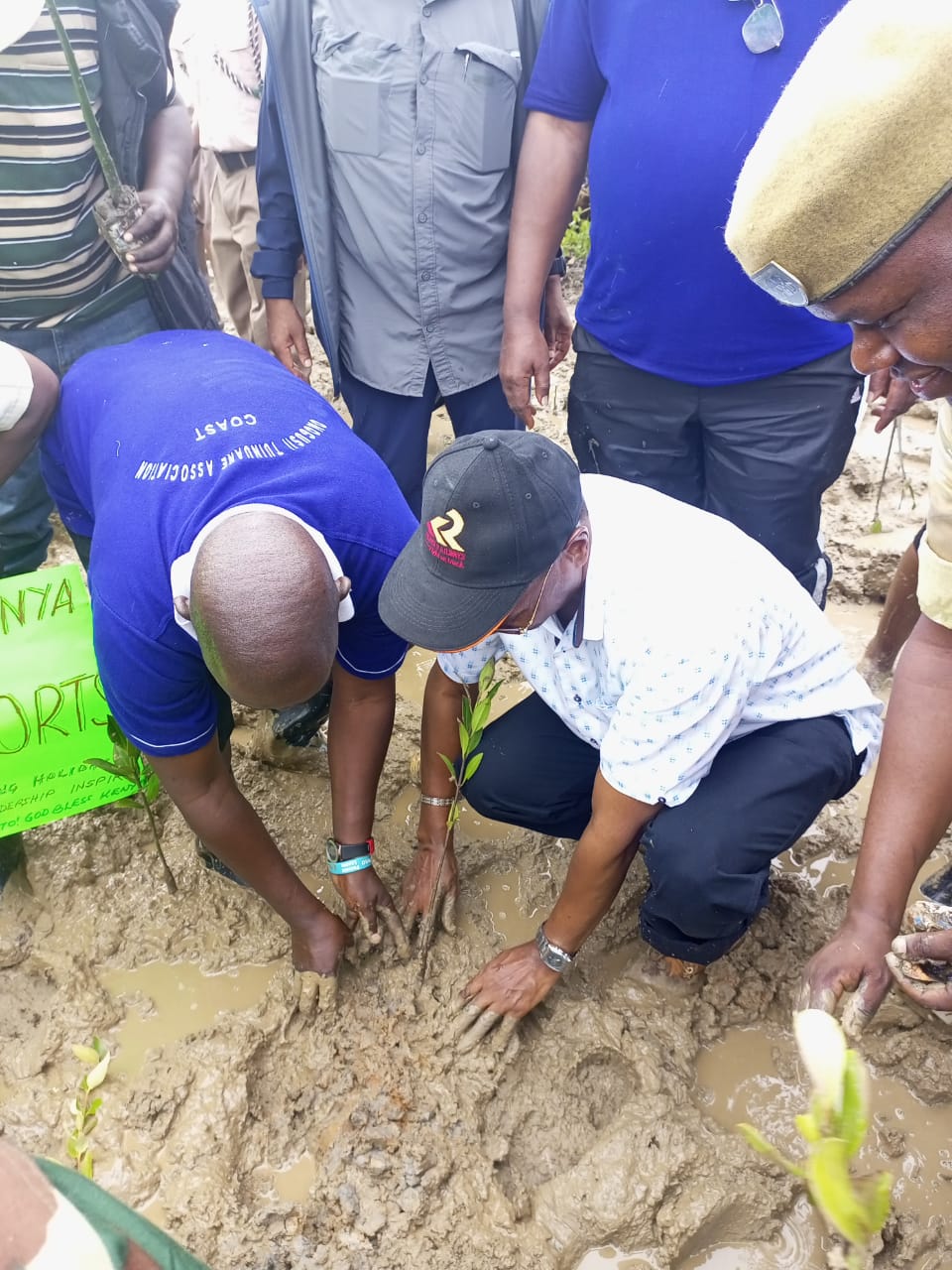 Ministry Of Roads and Transport Leads Mangrove Planting Initiative in Jomvu, Mombasa County on National Tree Growing Day 2024