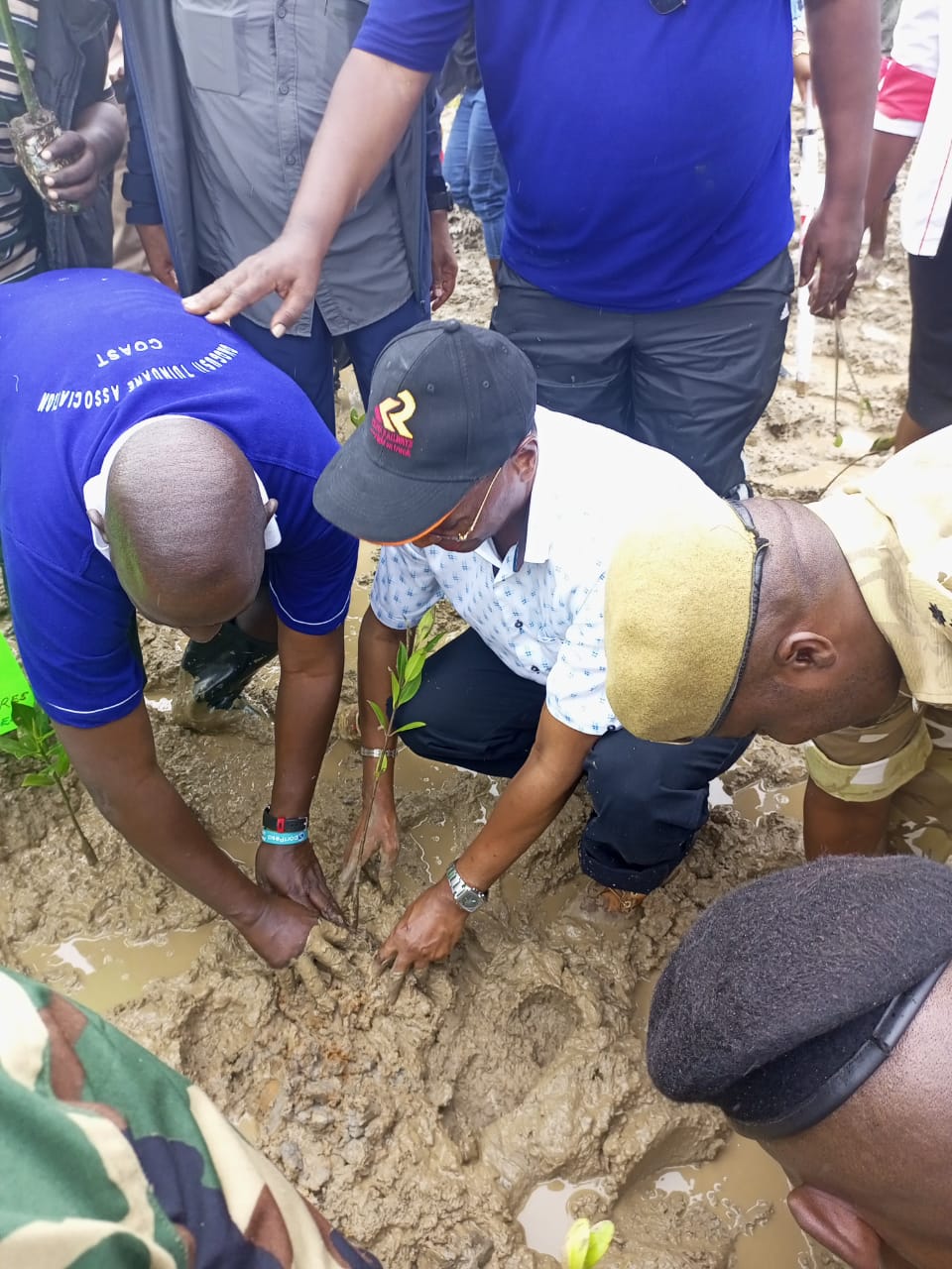 Ministry Of Roads and Transport Leads Mangrove Planting Initiative in Jomvu, Mombasa County on National Tree Growing Day 2024