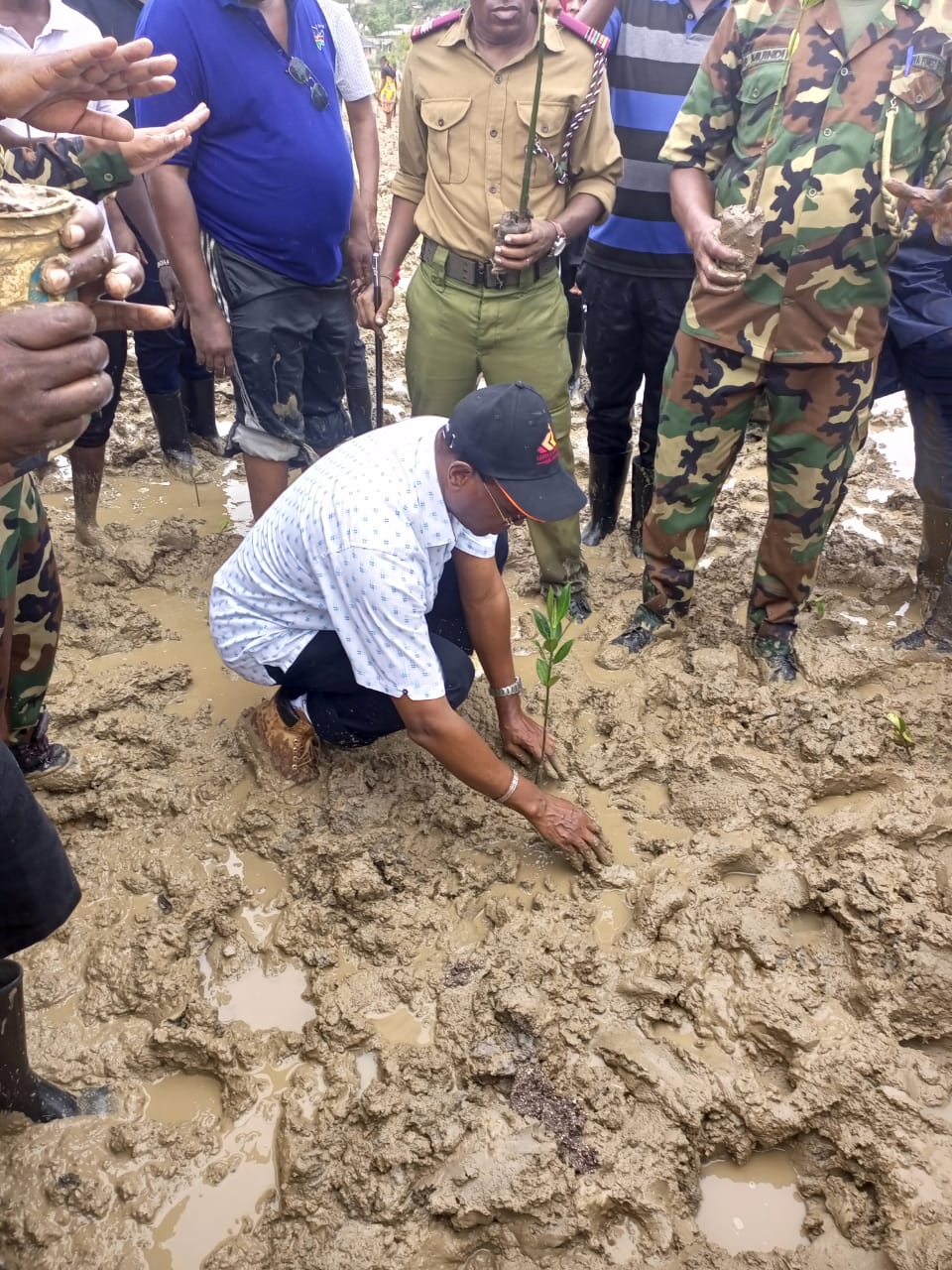 Ministry Of Roads and Transport Leads Mangrove Planting Initiative in Jomvu, Mombasa County on National Tree Growing Day 2024