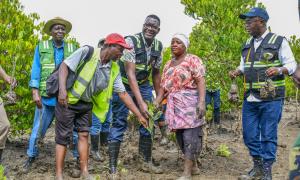 CS for Roads and Transport Mr. Davis Chirchir,PS State Department for Roads Eng. Joseph M. Mbugua, staff from Ministry and Agencies and local resident during tree planting at Miritini Mangrove Area  