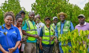 CS for Roads and Transport Mr. Davis Chirchir,PS State Department for Roads Eng. Joseph M. Mbugua, staff from Ministry and Agencies and local residents during tree planting at Miritini Mangrove Area  