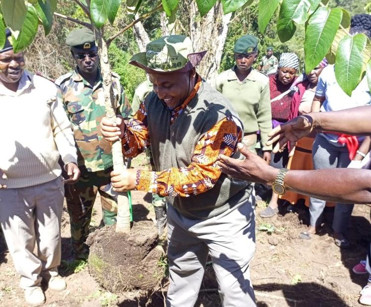 Kinale Tree Planting